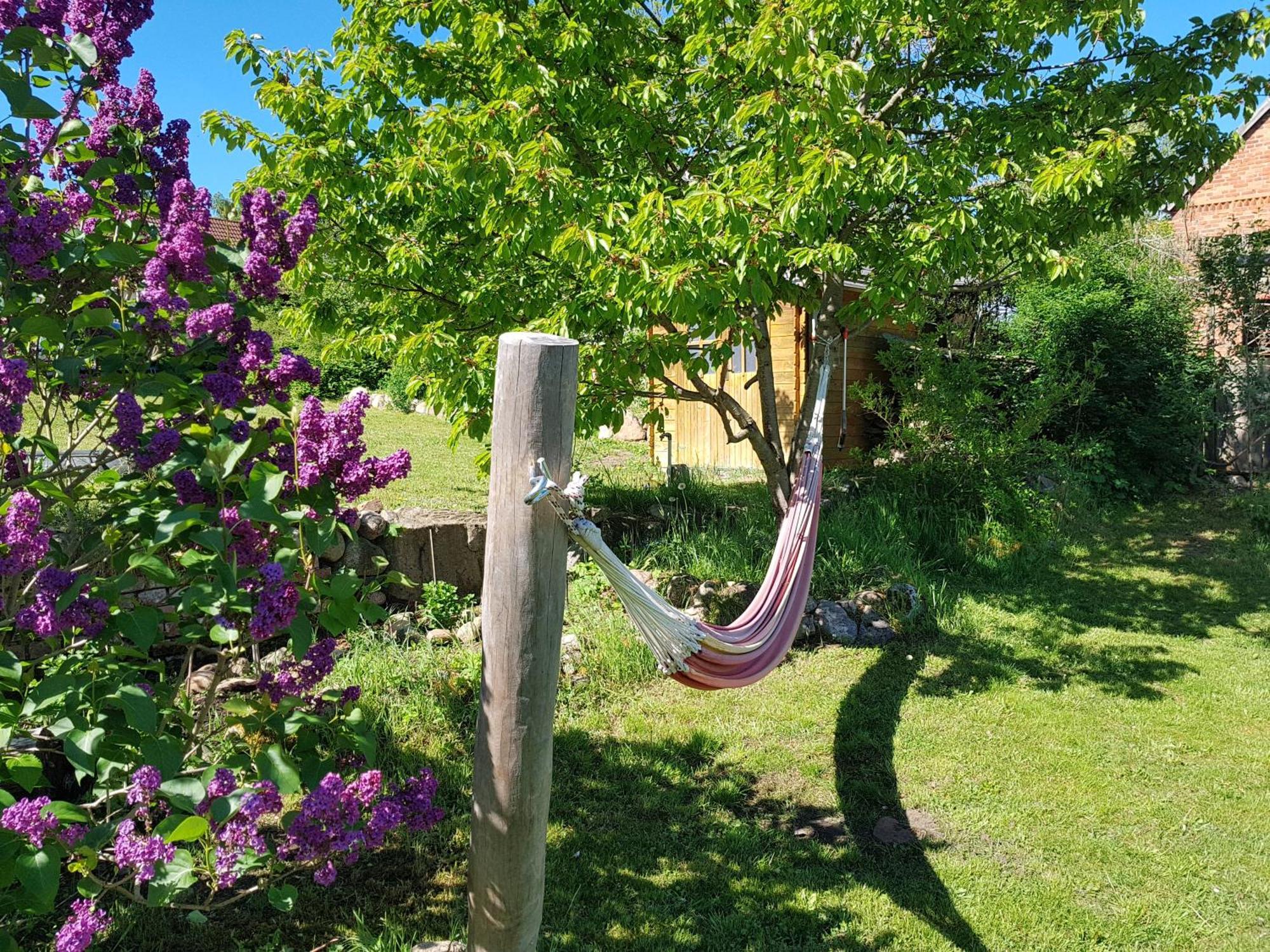 Ferienlandhaus Zempow Eksteriør billede