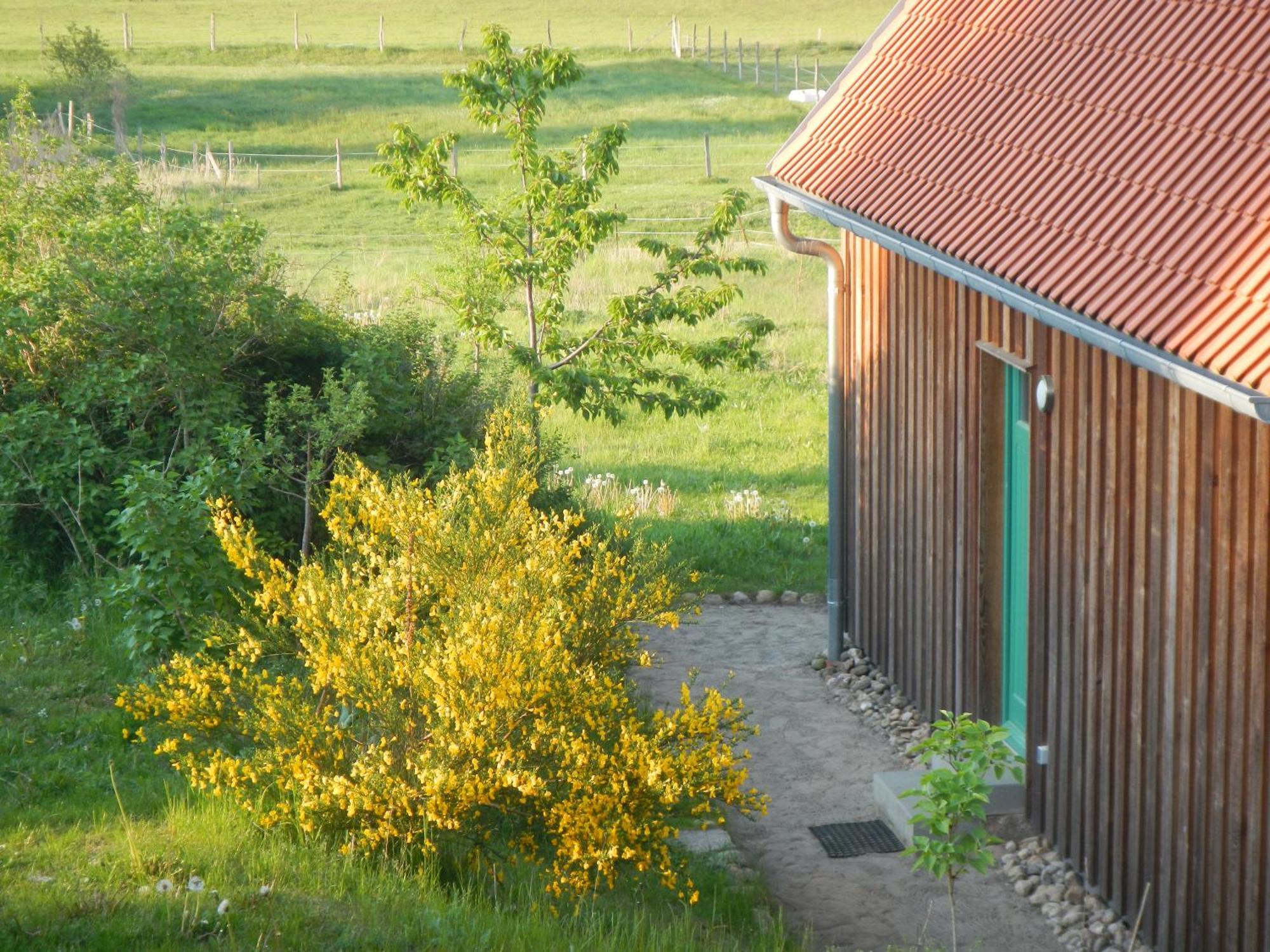 Ferienlandhaus Zempow Eksteriør billede